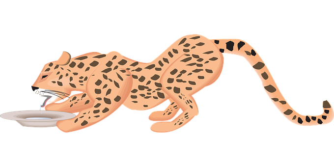 Leopard Drinking Milk Illustration PNG