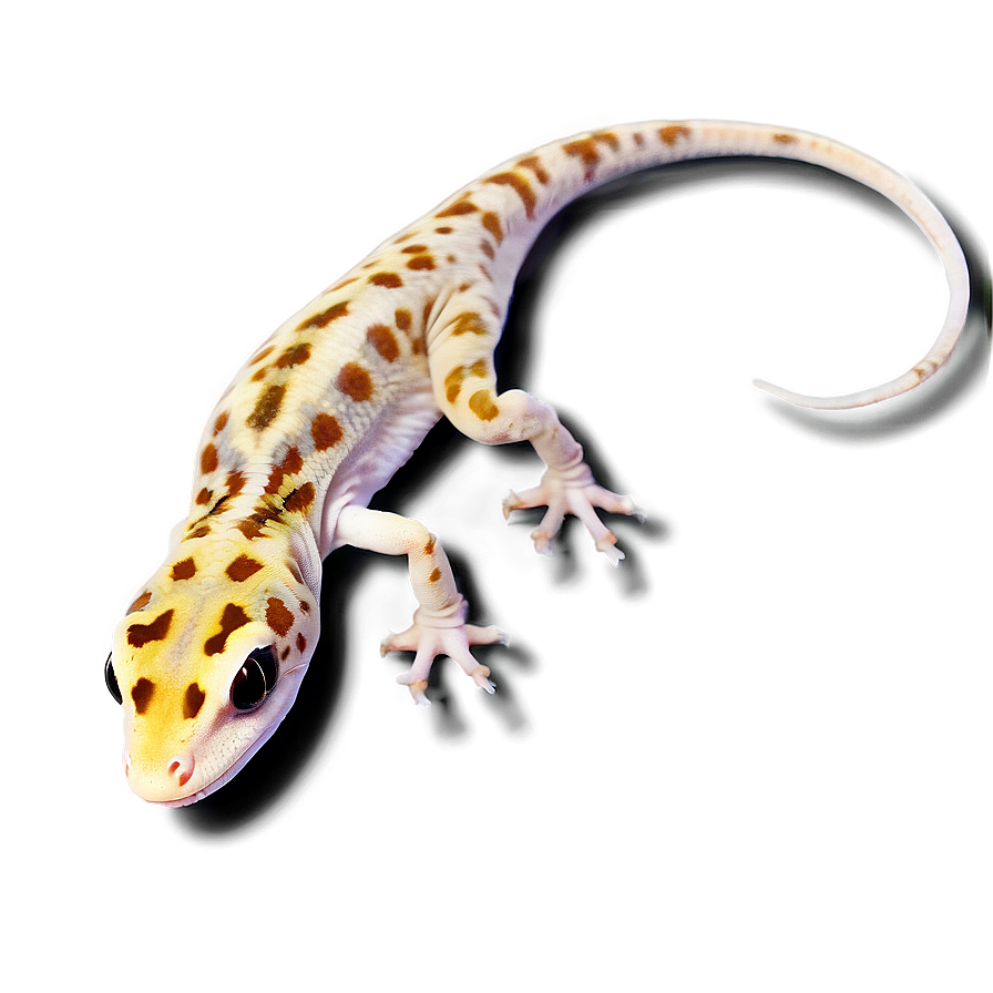 Leopard Gecko Climbing Png 06202024 PNG