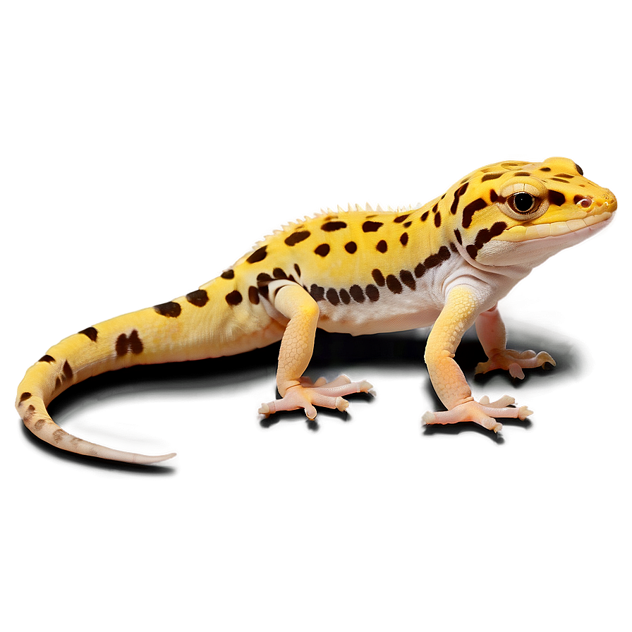 Leopard Gecko Png 52 PNG