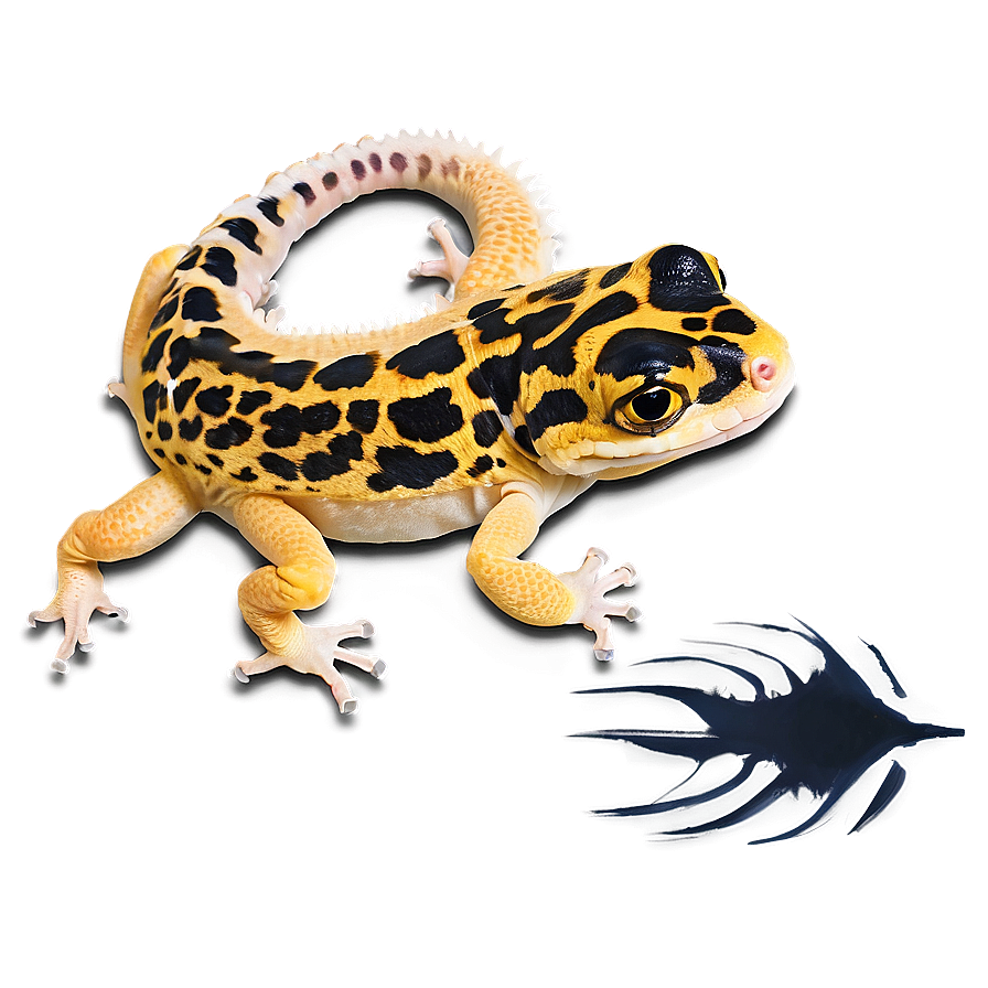 Leopard Gecko Skin Texture Png Aao PNG