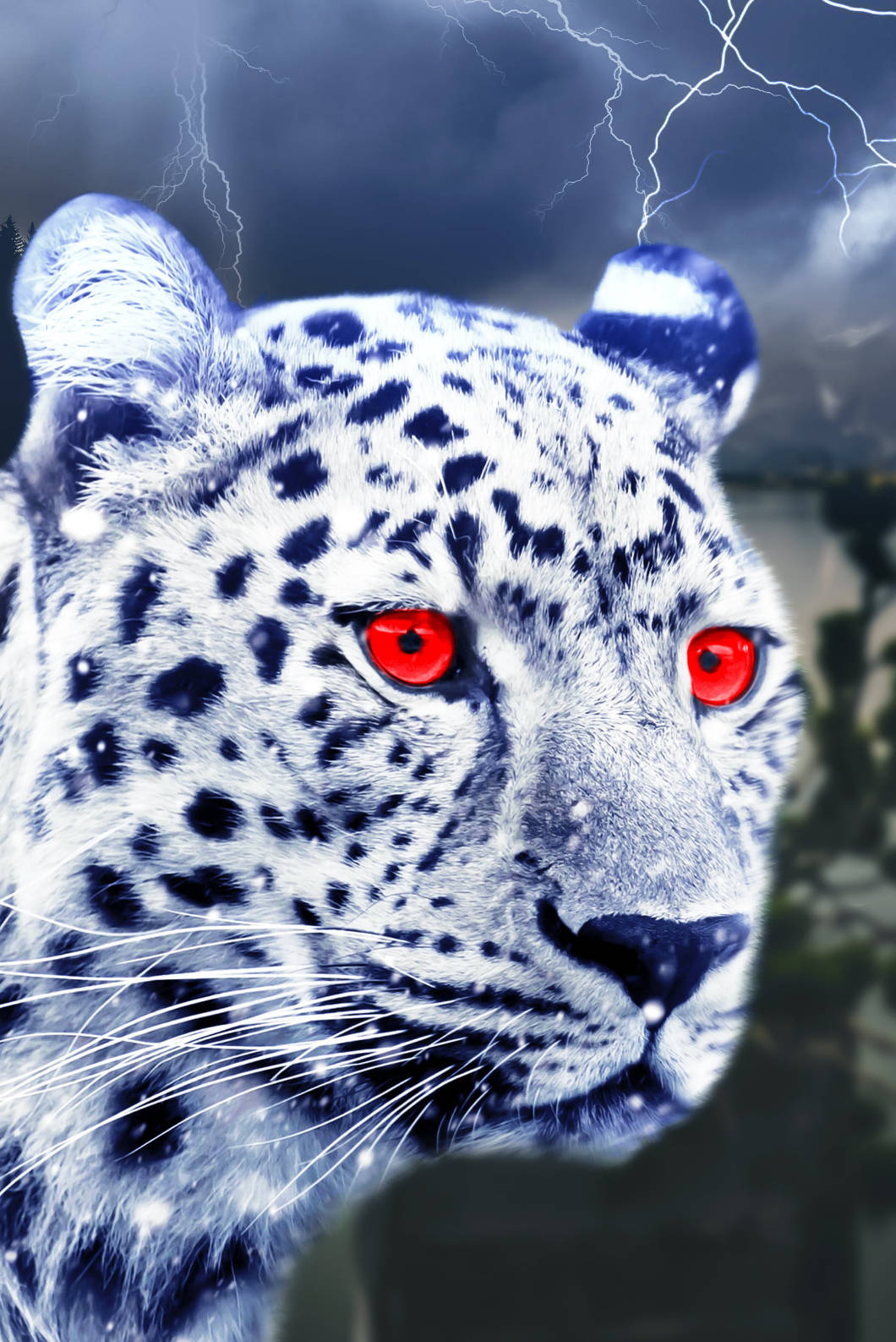 Leopardopara Iphone 4s. Fondo de pantalla