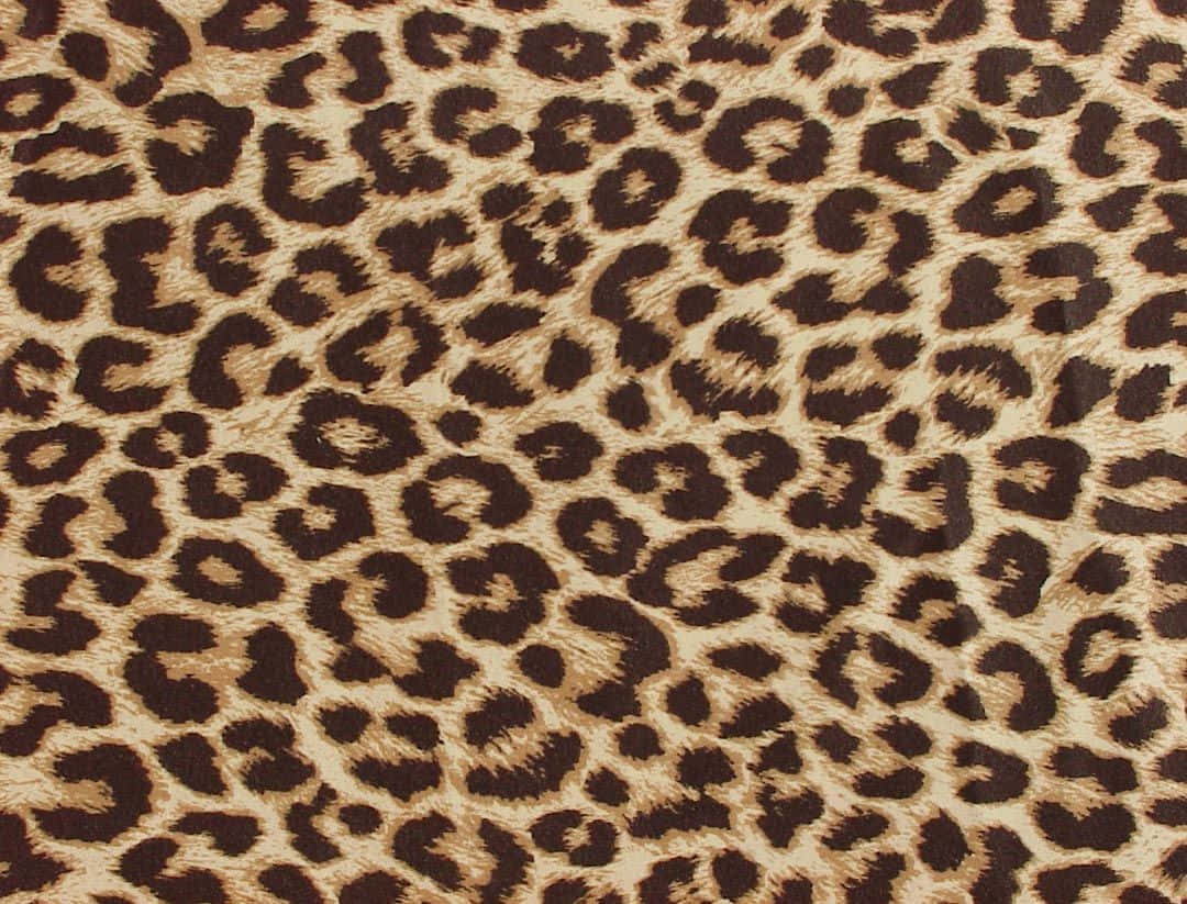 Wildleopard Muster Wallpaper