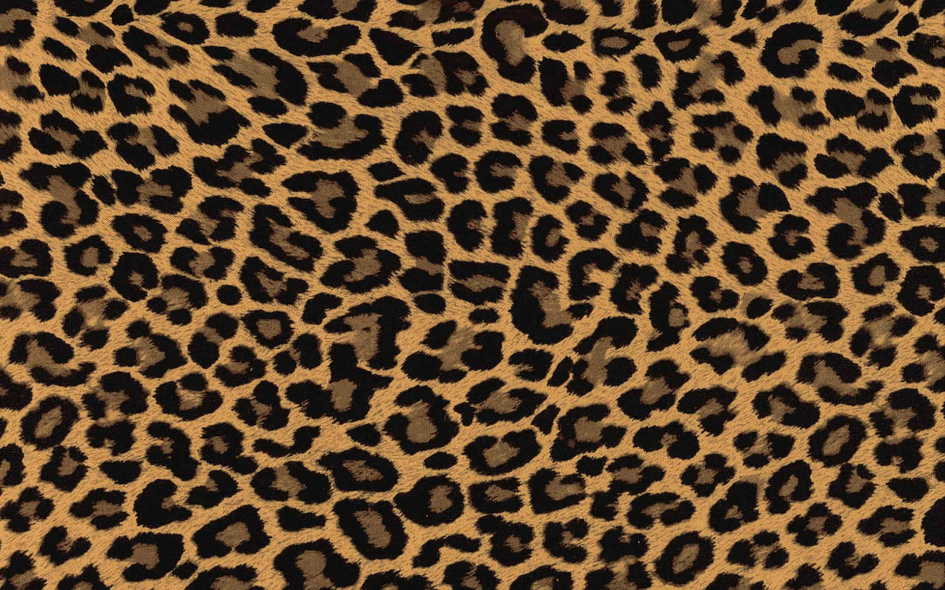 Etleopardprint-stof Med Sorte Og Brune Pletter. Wallpaper