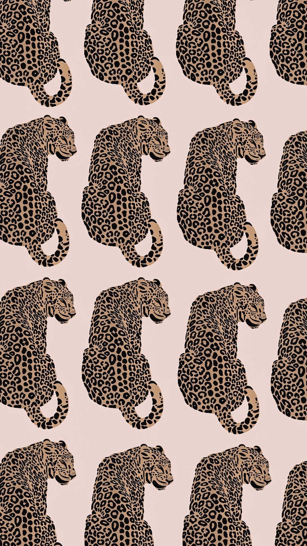 Leopard_ Pattern_ Aesthetic_ Wallpaper Wallpaper