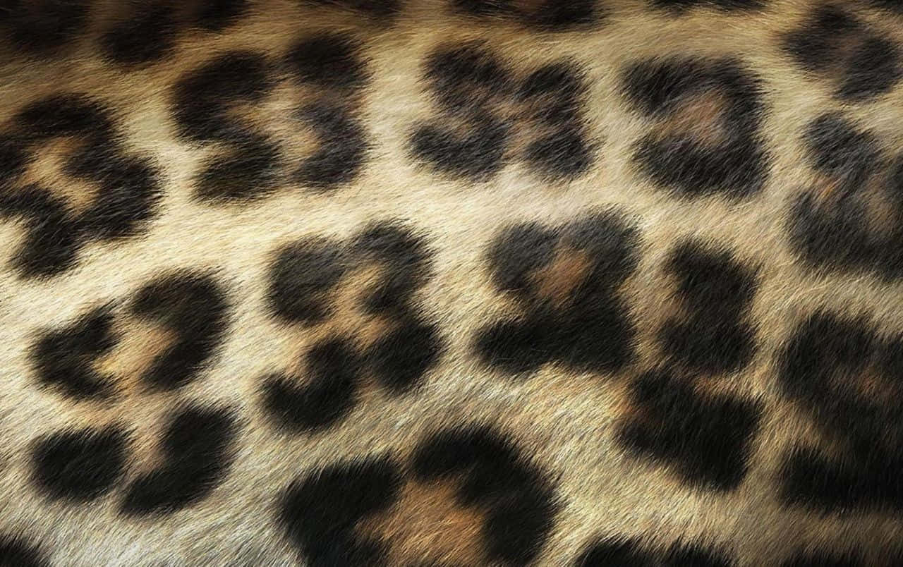 Padrãode Leopardo Selvagem Estilo De Alta Moda Papel de Parede