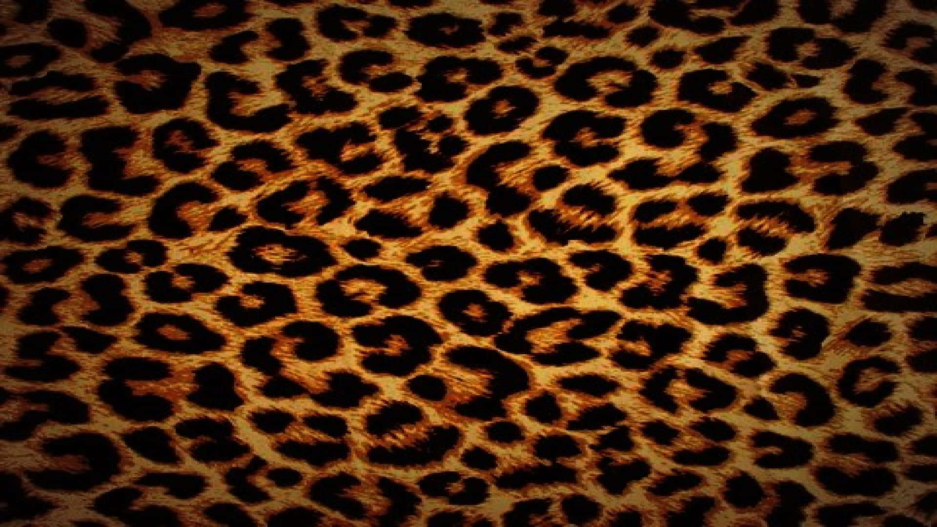 Gorgeous leopard pattern wallpaper Wallpaper