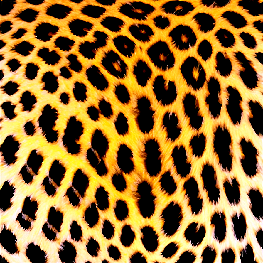 Leopard Pattern Overlay Png Hhr55 PNG