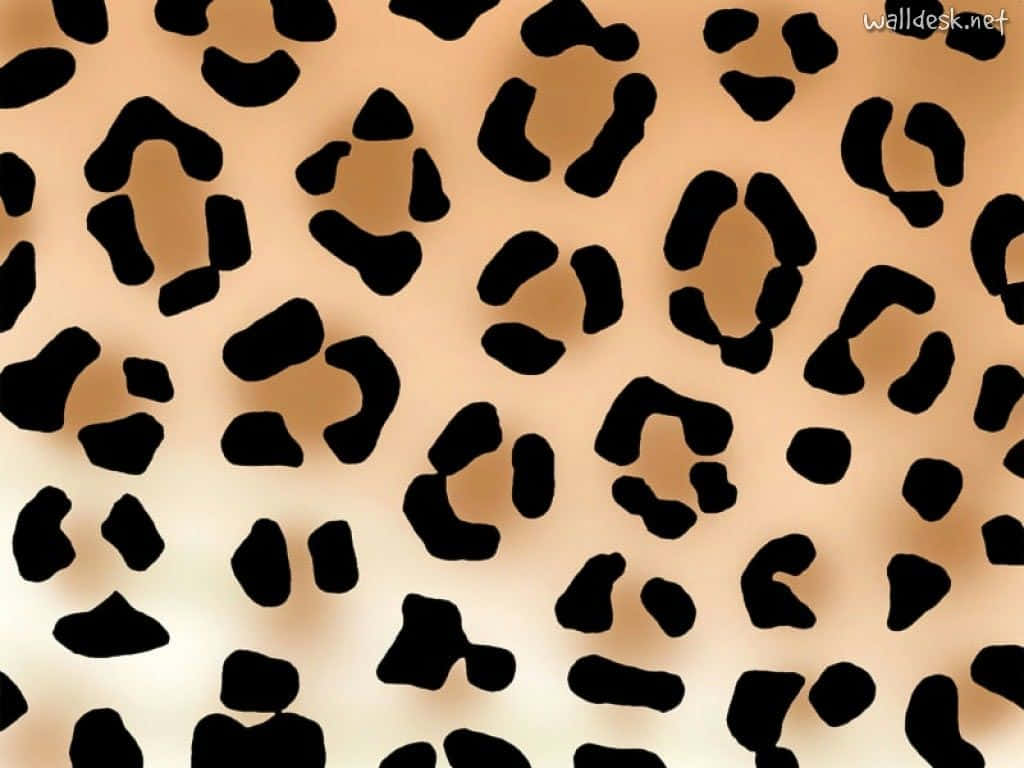 Opfanger øjne leopardmønster Wallpaper