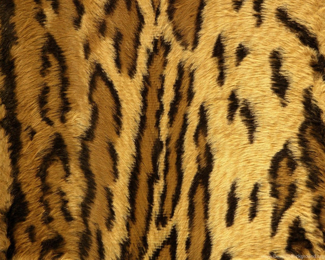 Et leopardmønster til din indretning Wallpaper