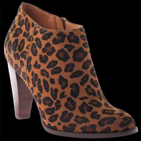 Download Leopard Print Ankle Boot | Wallpapers.com