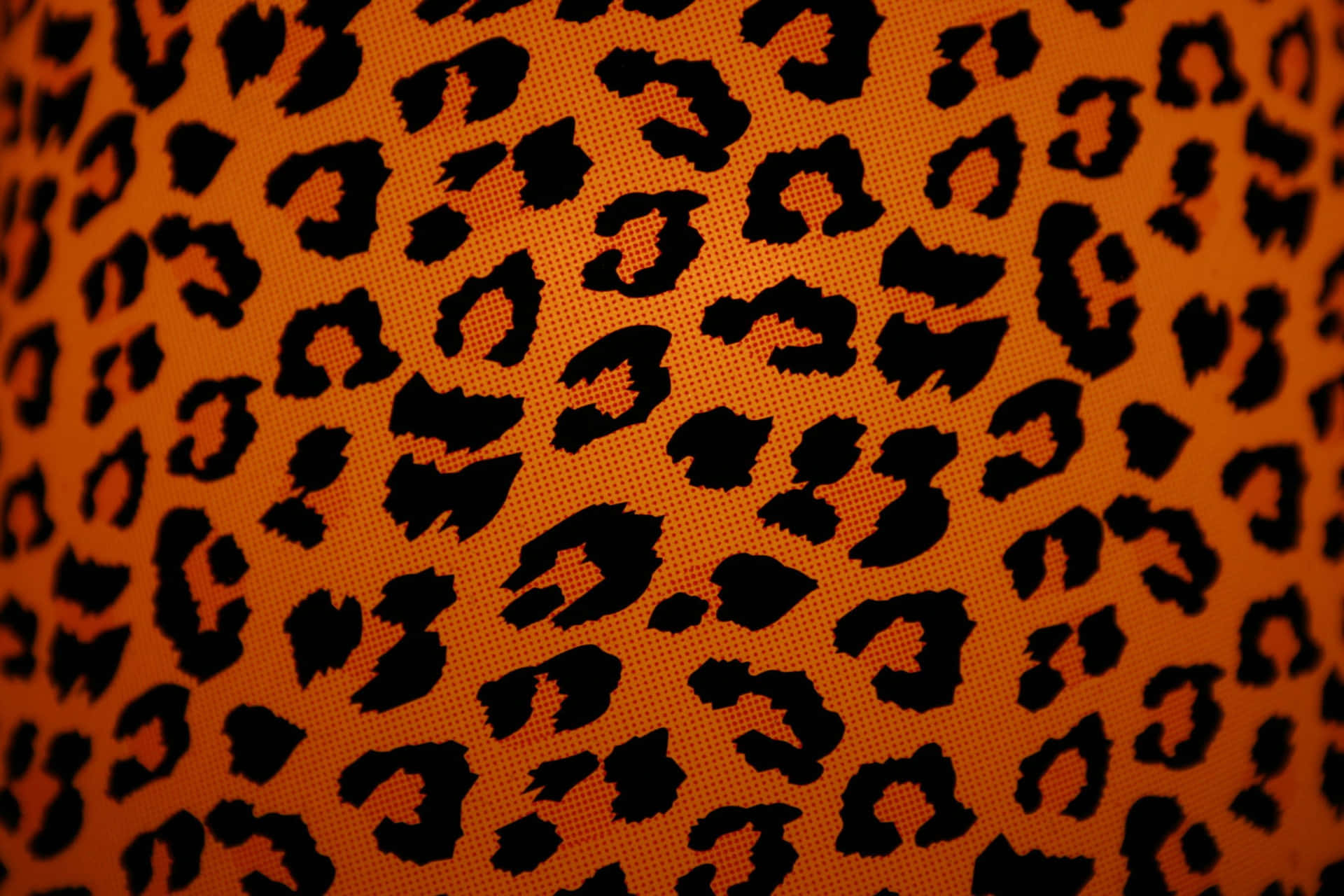 Ennärbild Av En Lampskärm Med Leopardmönster