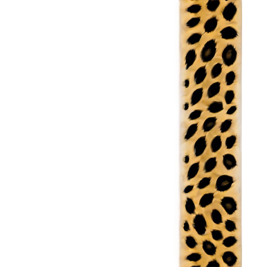 Leopard Print Border Png 05212024 PNG