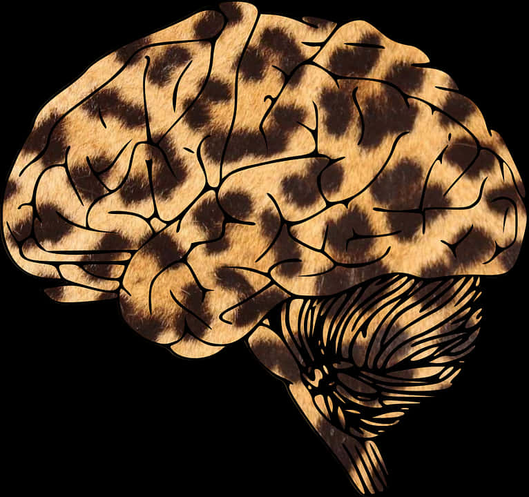 Leopard Print Brain Illustration PNG