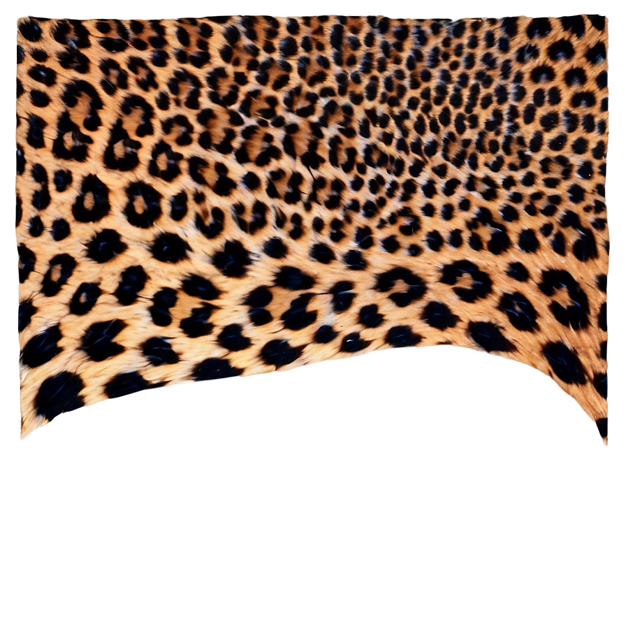 Download Leopard Print Clipart Png 05212024 | Wallpapers.com