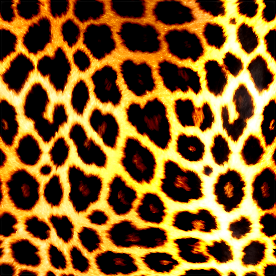 Leopard Print Frame Png 35 PNG