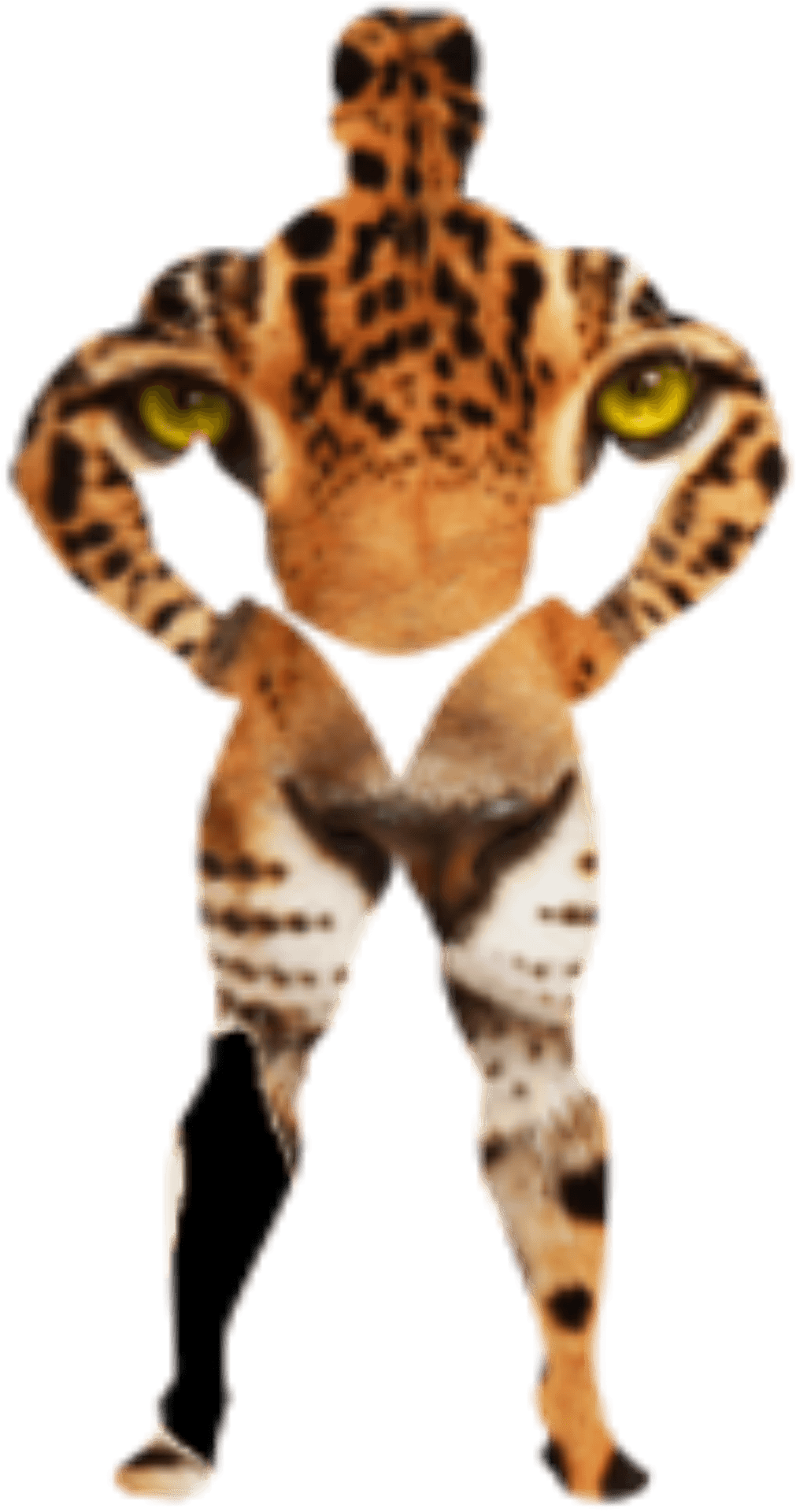 Leopard Print Humanoid Figure.png PNG