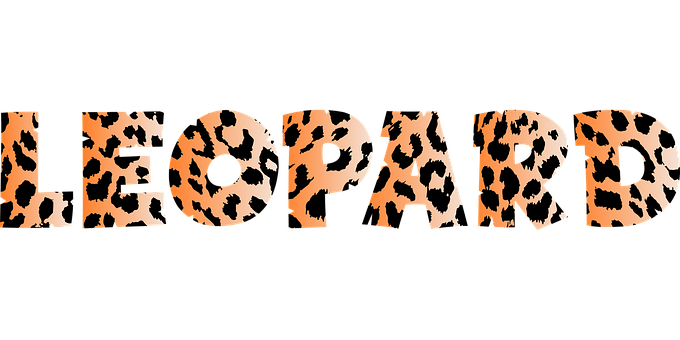 Leopard Print Text Design PNG