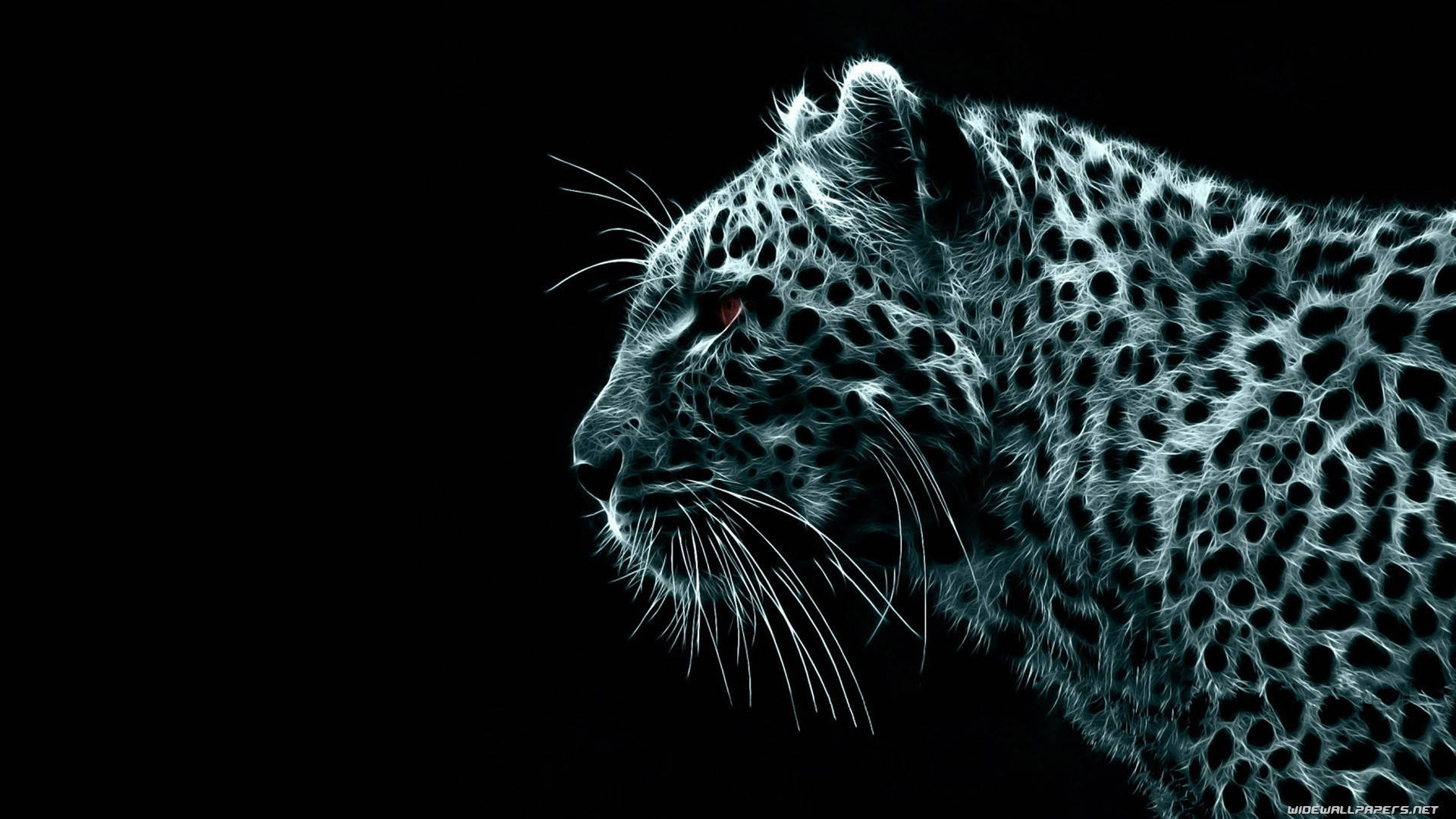 Leopard Side View Coolest Desktop Background