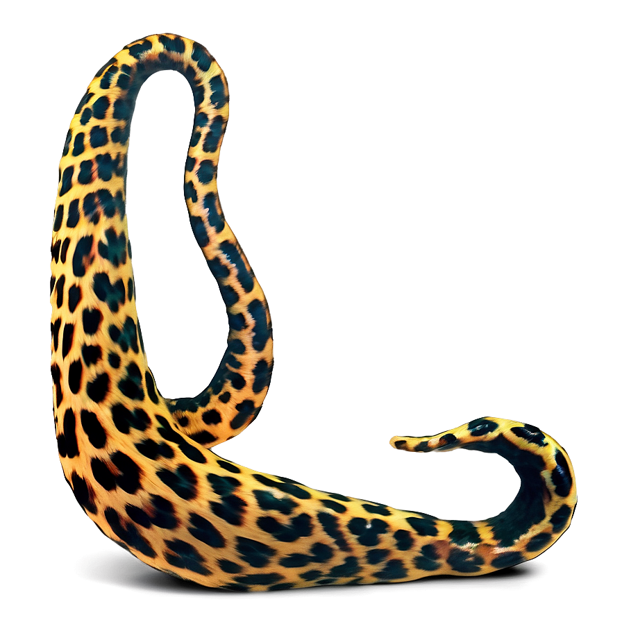 Leopard Tail Png Aay PNG