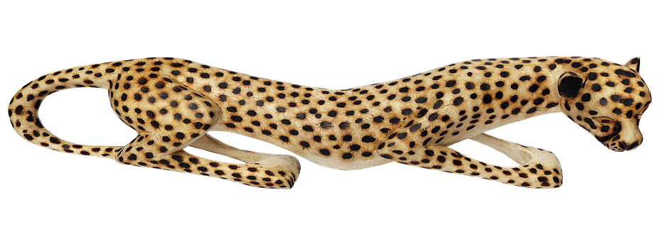 Leopardin Motion Black Background PNG