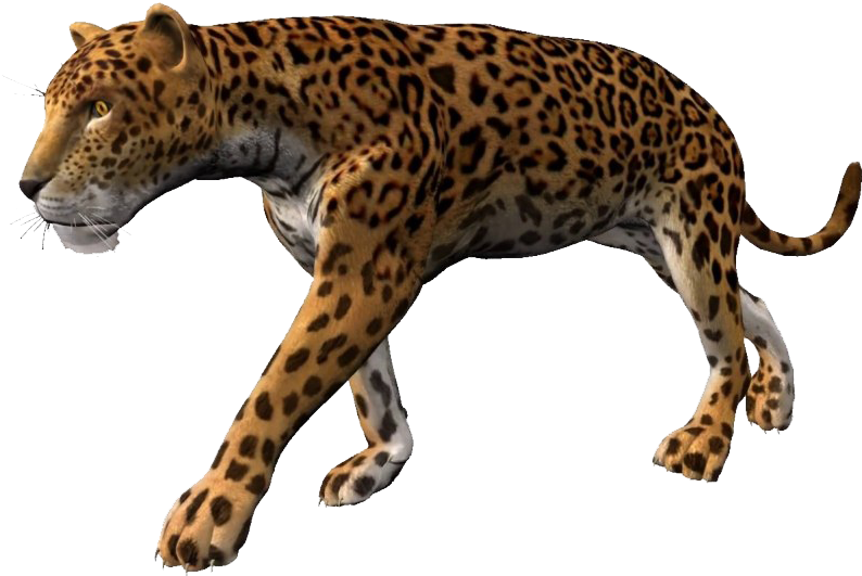 Leopardin Stride.png PNG