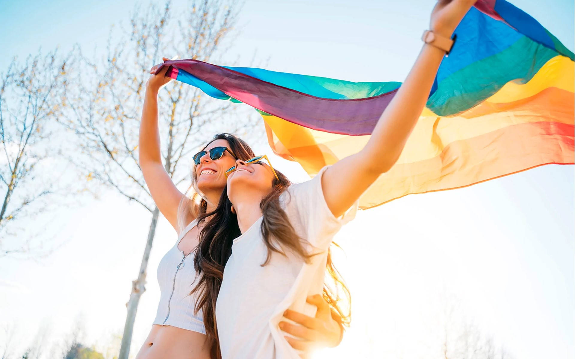 Lesbiske pige par rejser flag på en regnbue sky Wallpaper