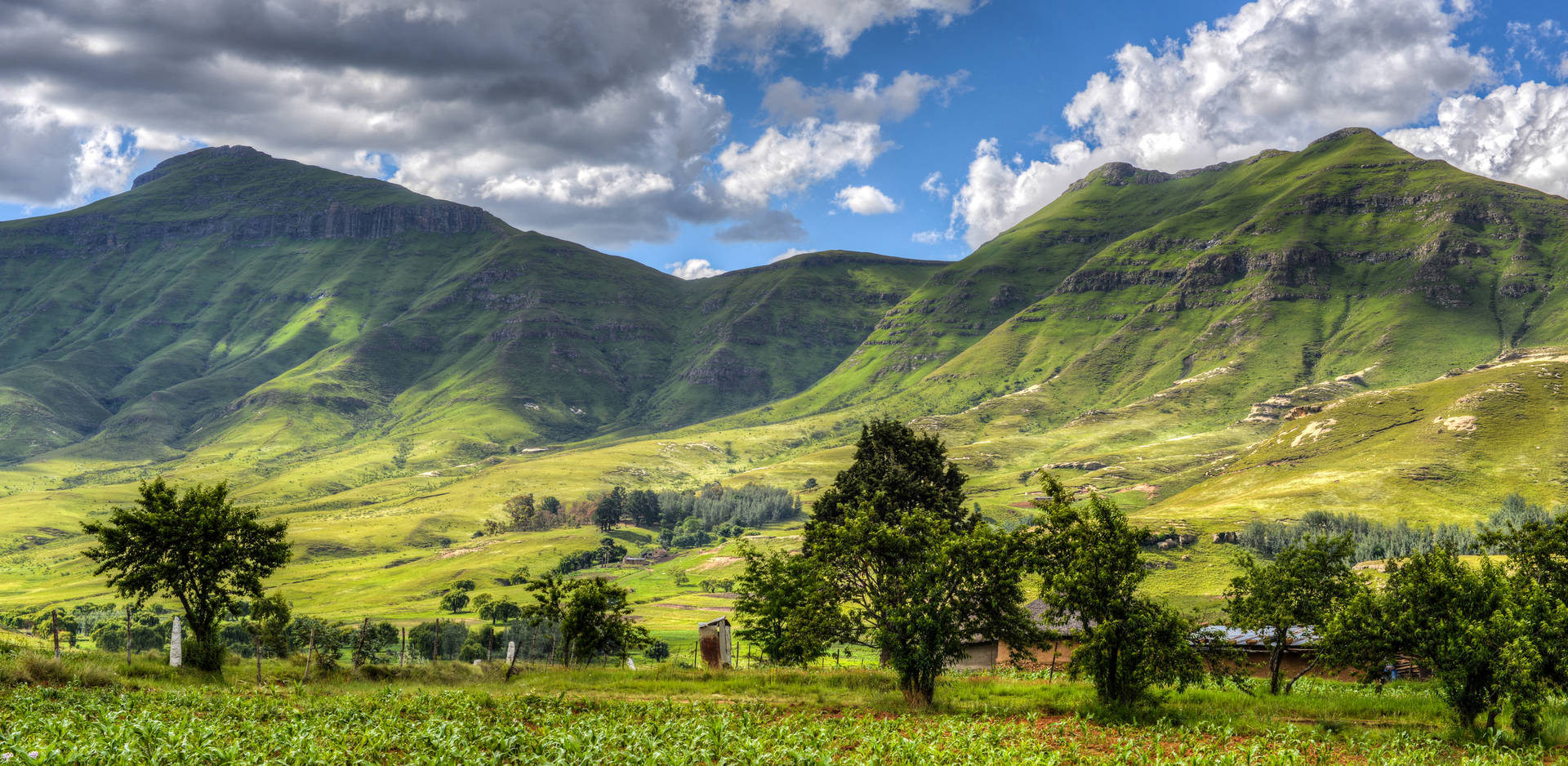 Lesothogrüne Berge Bäume Wallpaper