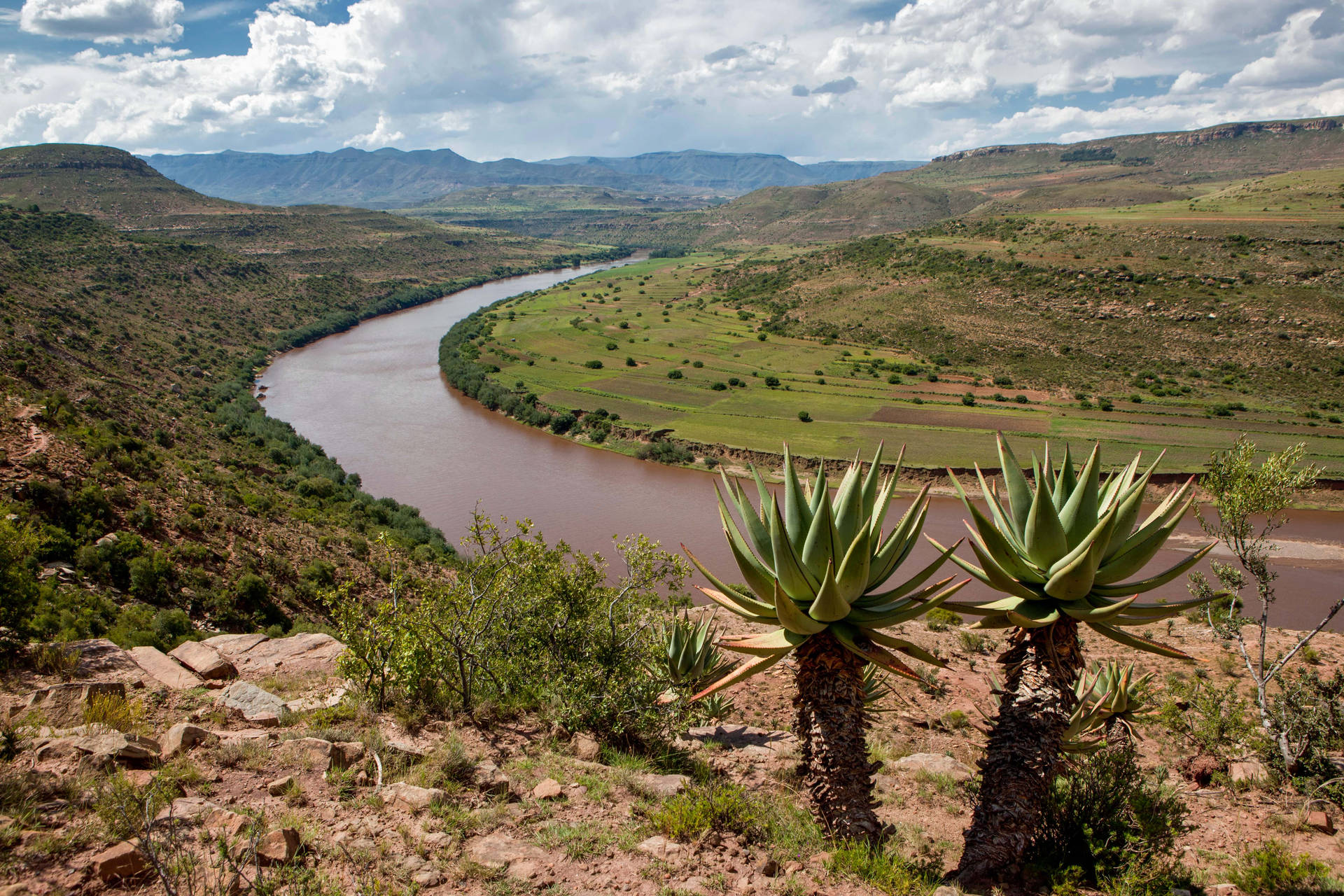 Piantedel Fiume Lesotho Sfondo