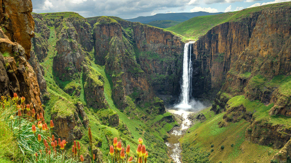 Lesotho Waterfalls Flowers Wallpaper