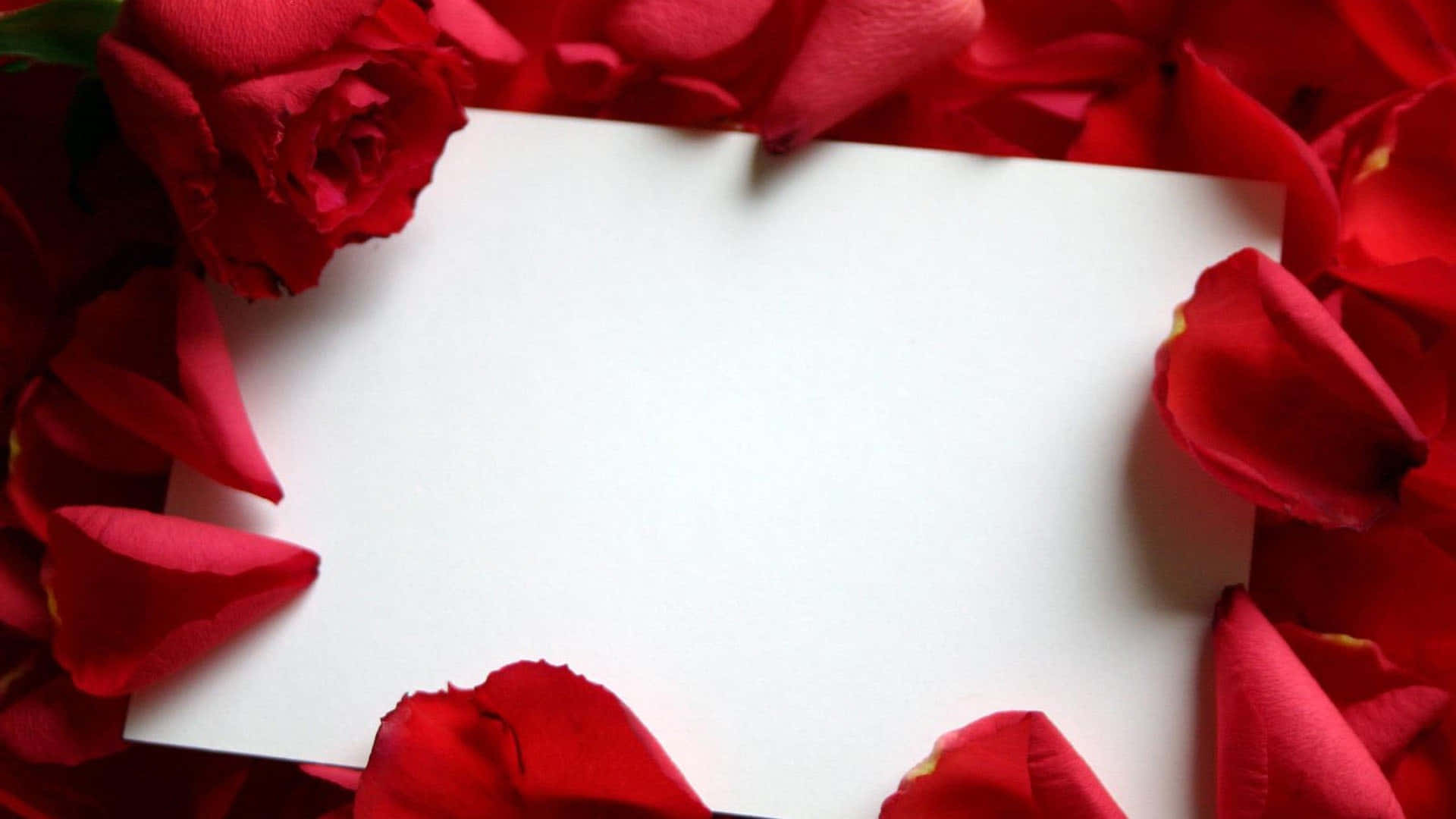 A White Paper Is Surrounded By Red Rose Petals