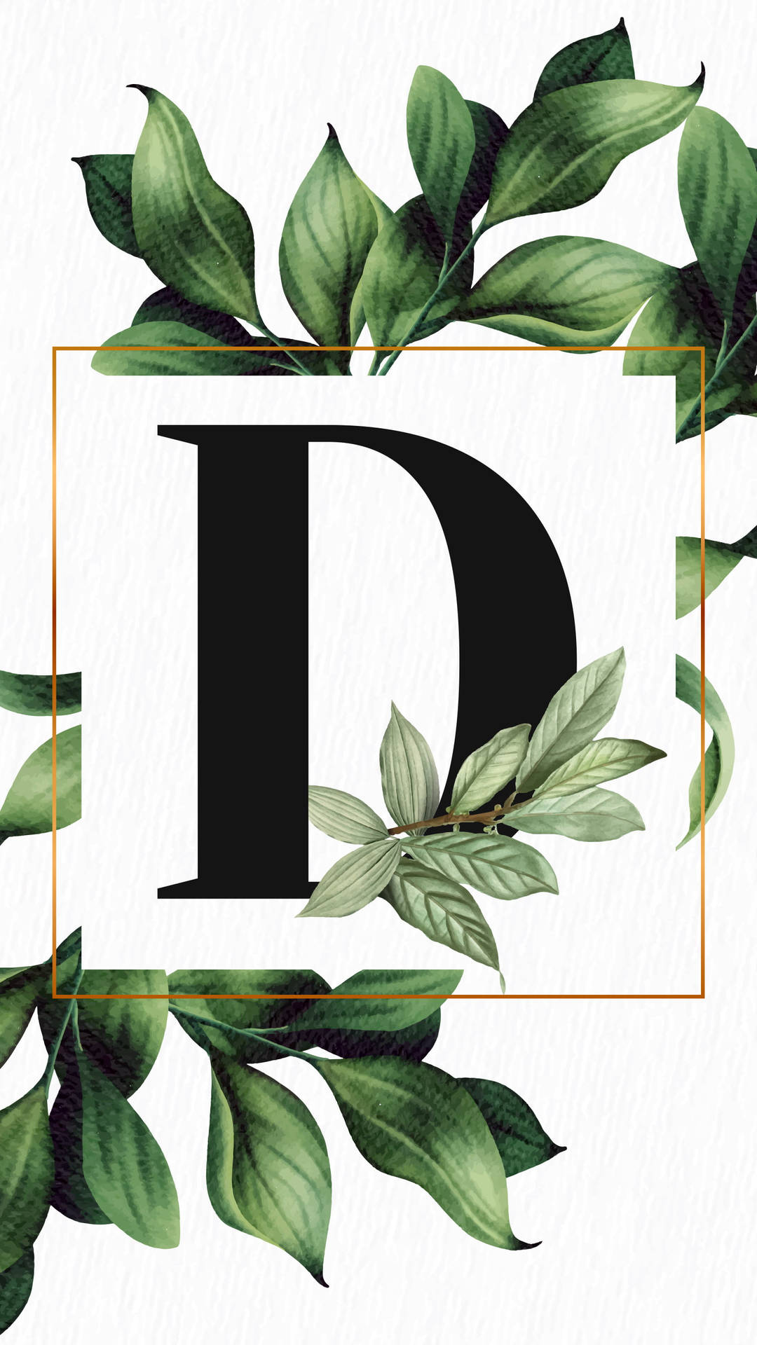 Letter D With Tropical Plants Background
