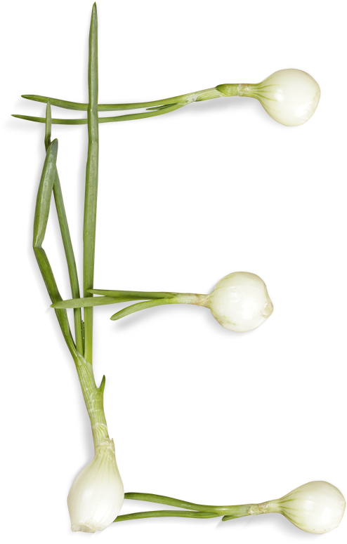 Letter E Formedby Spring Onions PNG