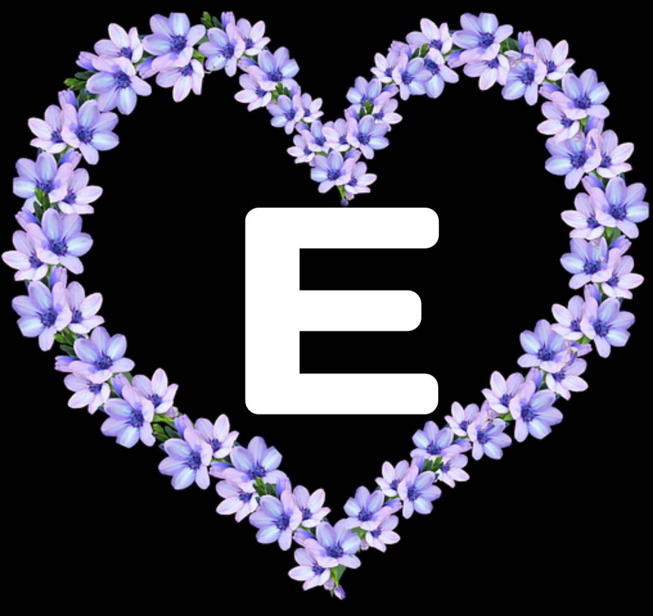 Letter E In Purple Heart Flowers