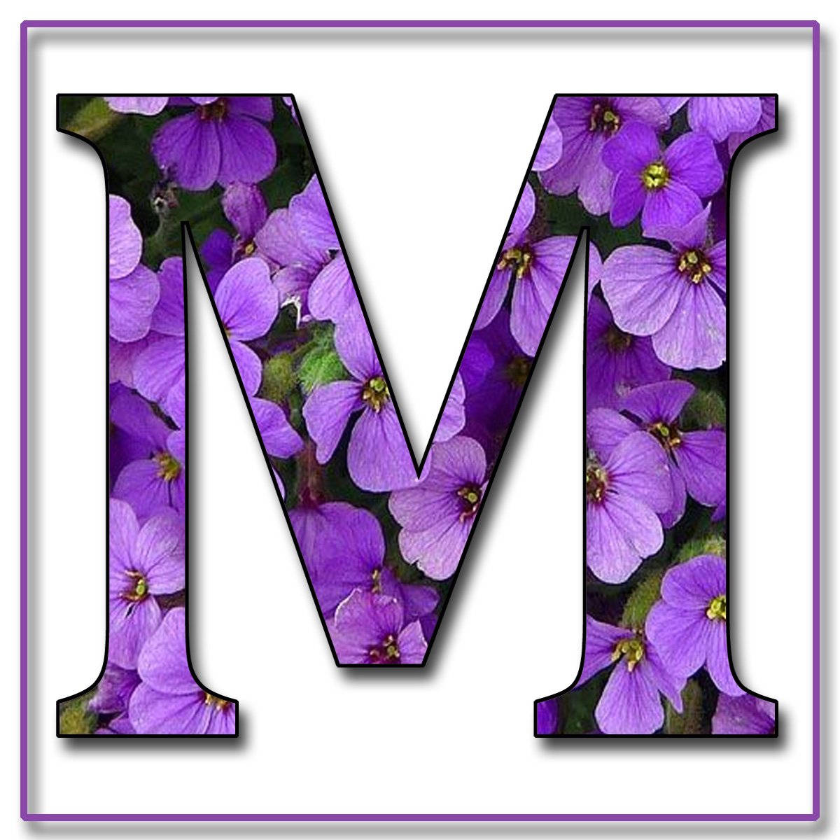 Letter M Purple Flower