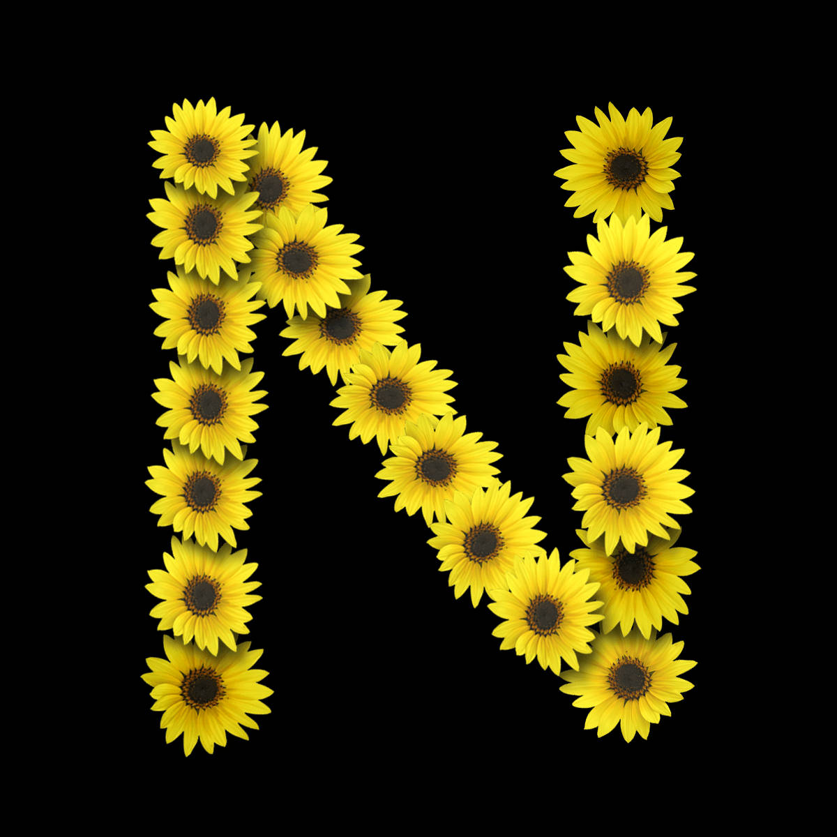 Letter N Sunflowers Wallpaper