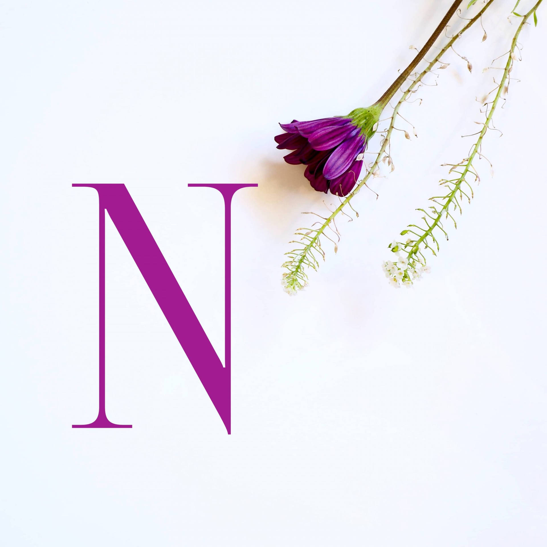 Letter N With Purple Flower