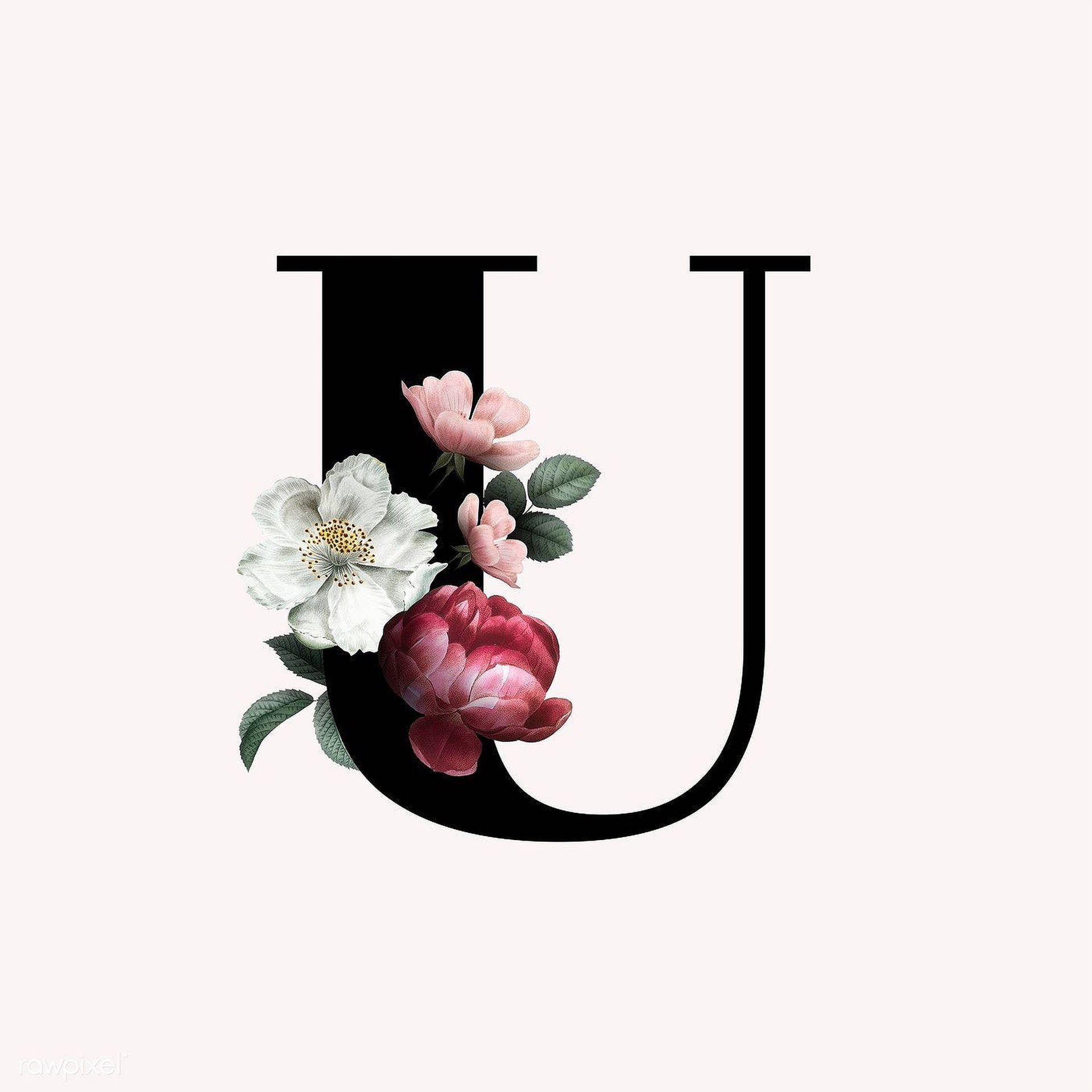 Letter U Flower Monogram Wallpaper