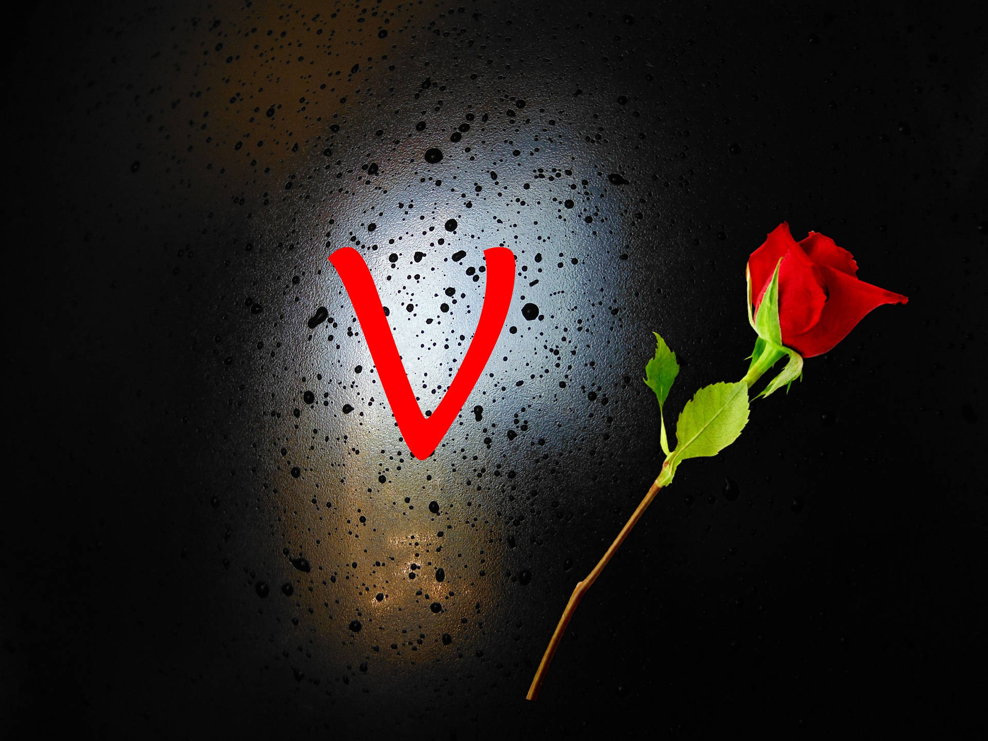 Letter V And Rose