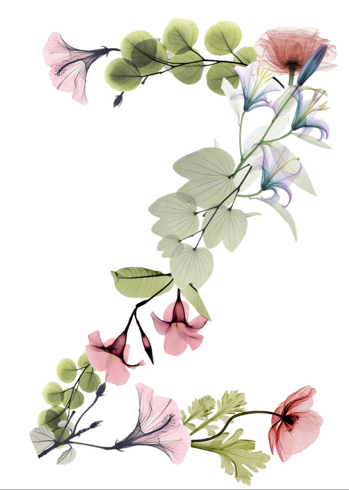 Letter Z Arranged Flowers Wallpaper