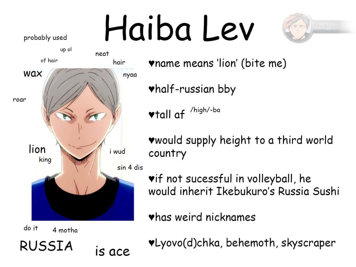 Intense Lev Haiba in action on the volleyball court Wallpaper