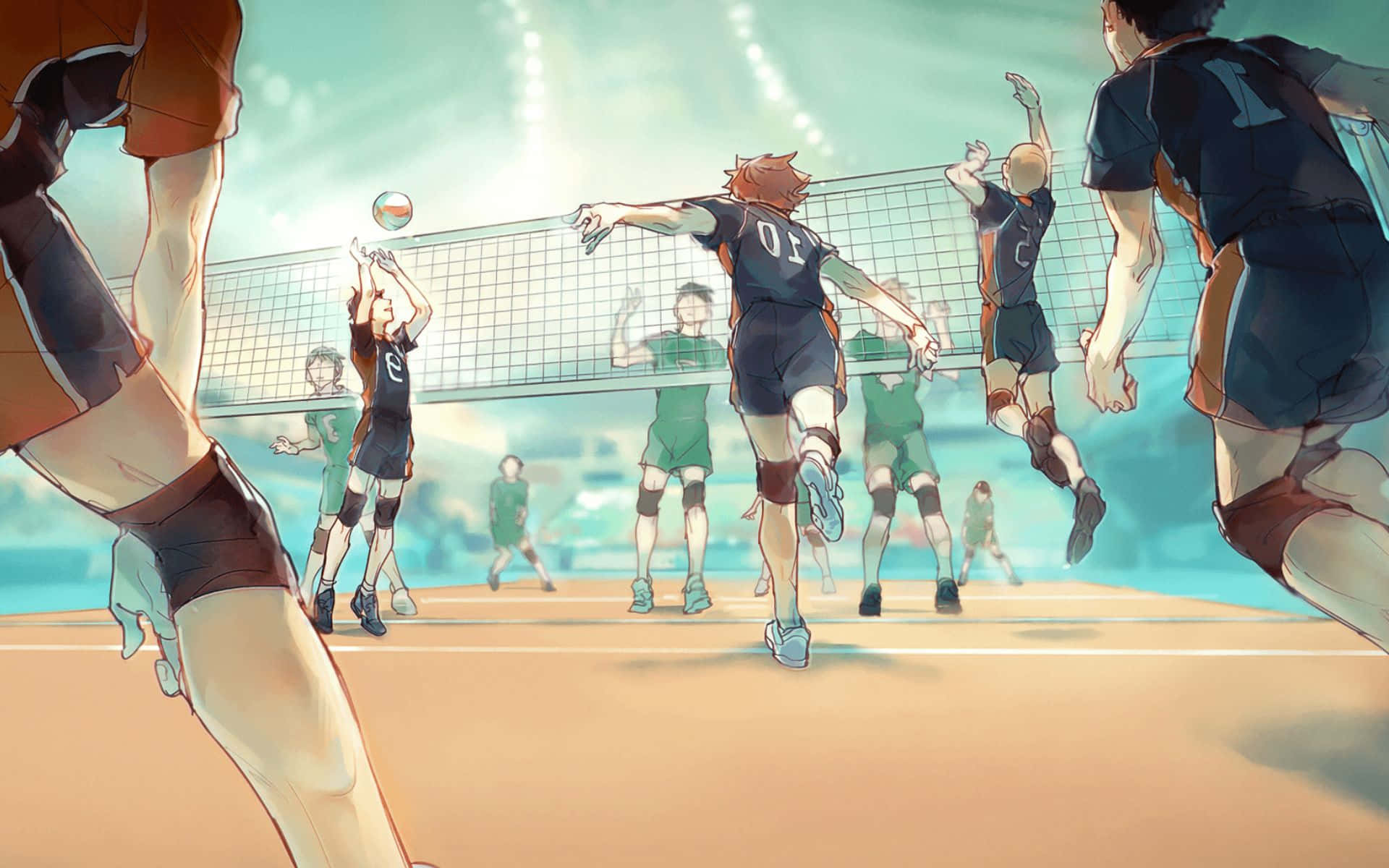 Lev Haiba in action on the volleyball court Wallpaper