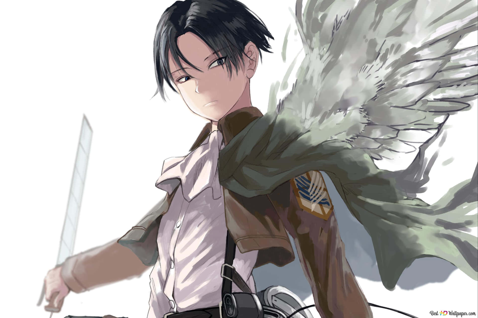 The Brave Captain Levi from Attack on Titan Wallpaper