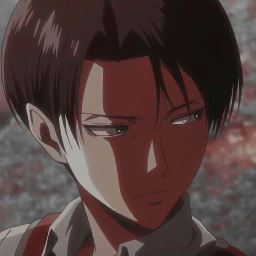 Levi PFP With Shadowed Face Wallpaper
