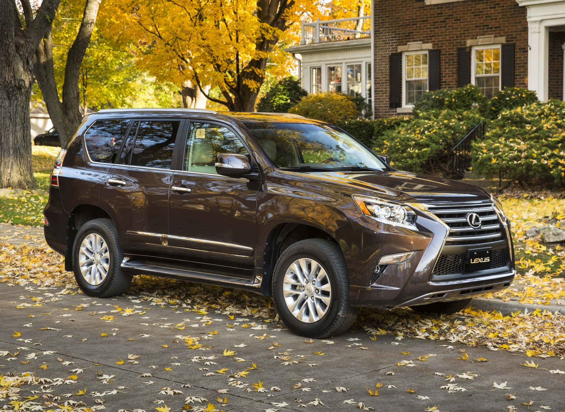Exceptional Style and Luxury - Lexus GX 460 Wallpaper