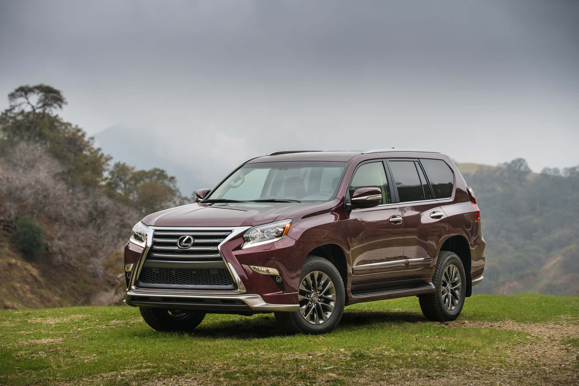 A Lexus GX 460 conquers off-road terrain with style and luxury Wallpaper