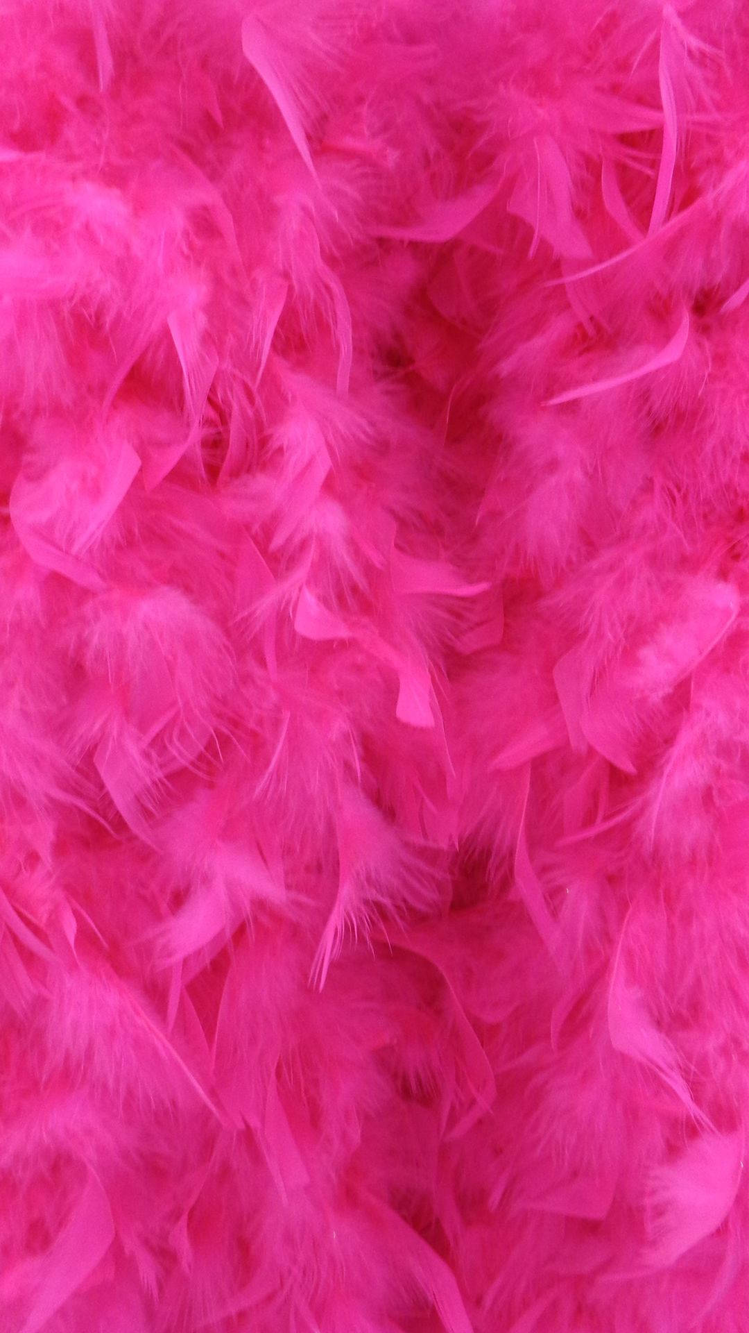 LG Phone Bright Pink Feathers Wallpaper