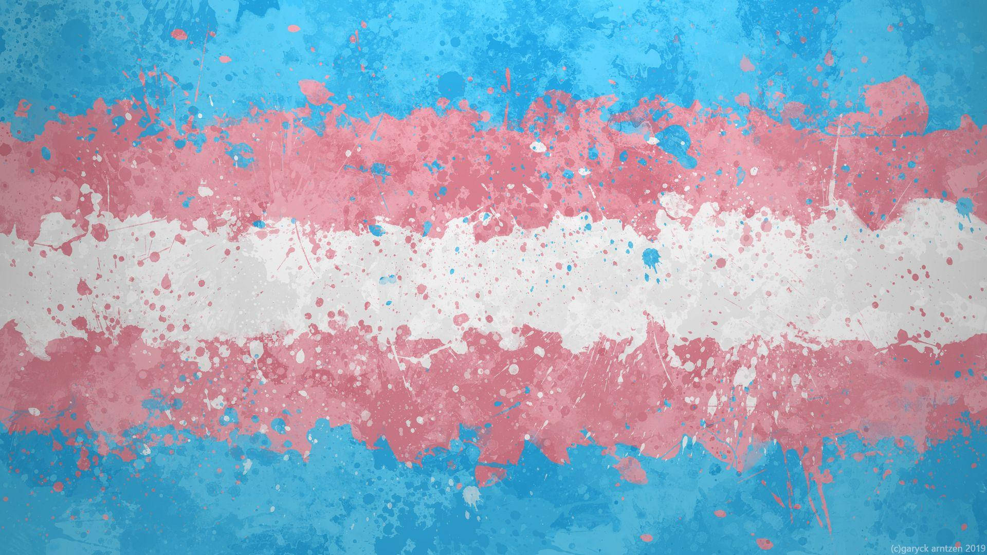 Lgbt Transgender Flag Paint