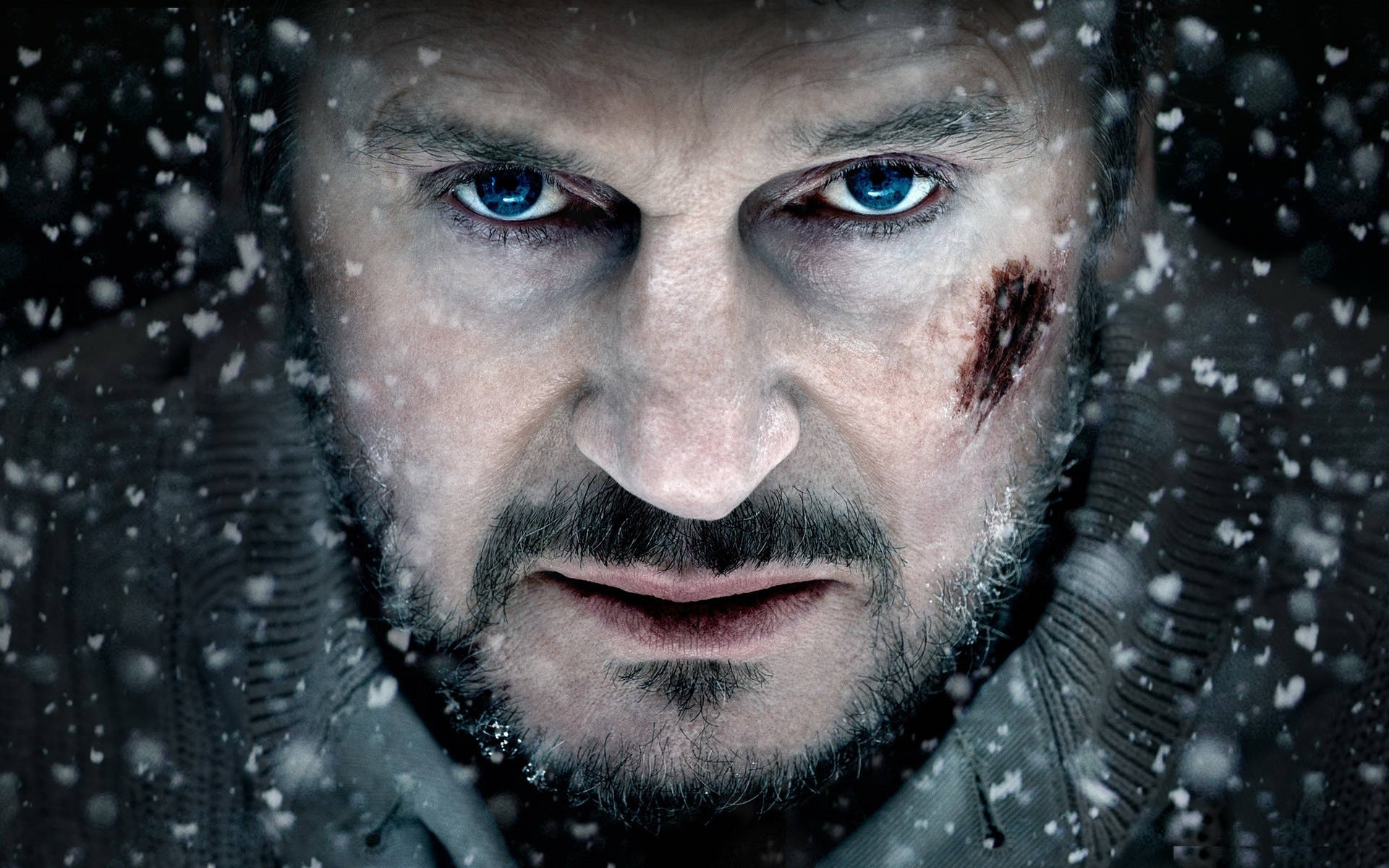 Liam Neeson Winter Snow The Grey Movie Wallpaper
