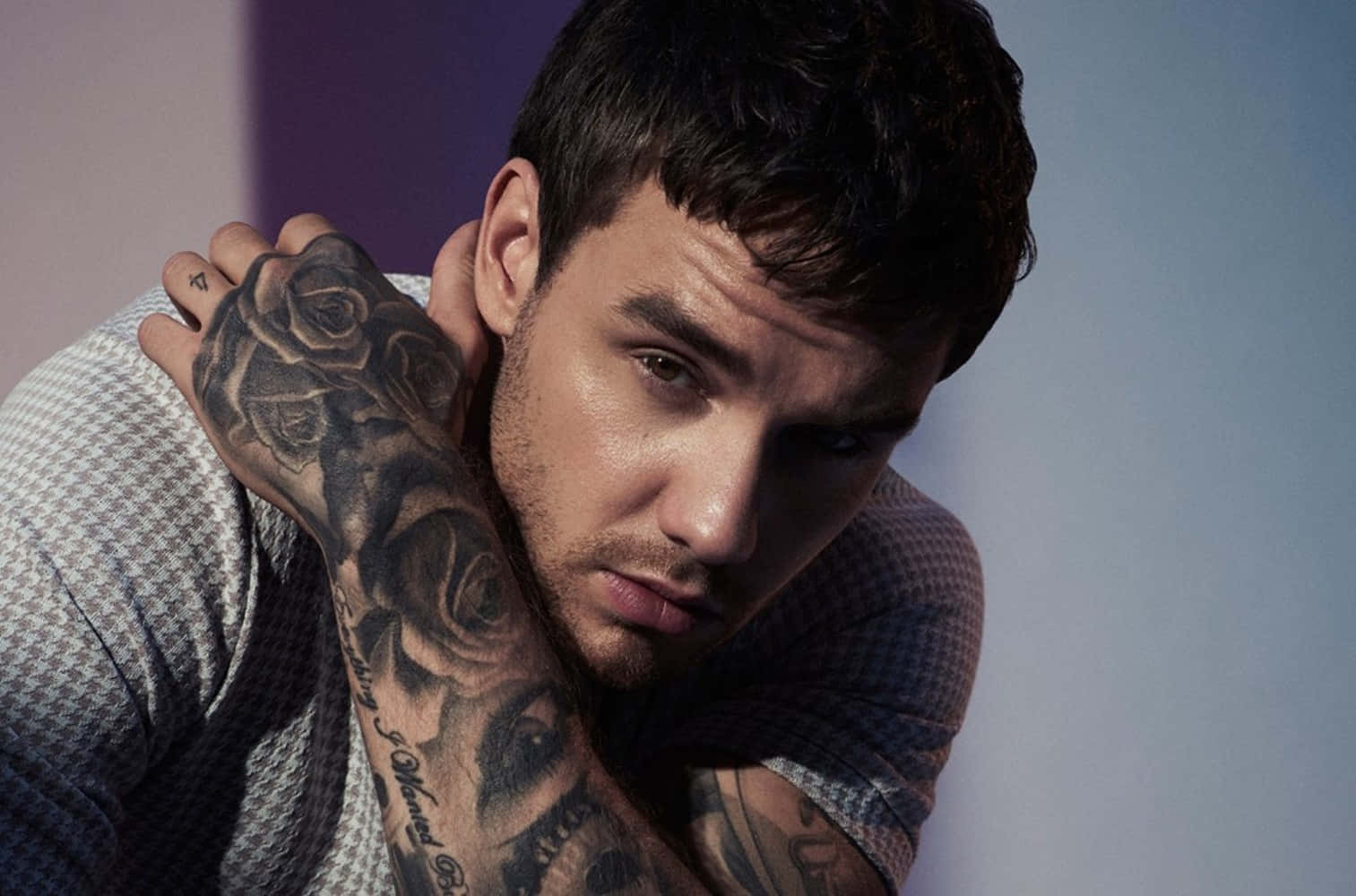 Tatuajesen El Brazo De Liam Payne Fondo de pantalla