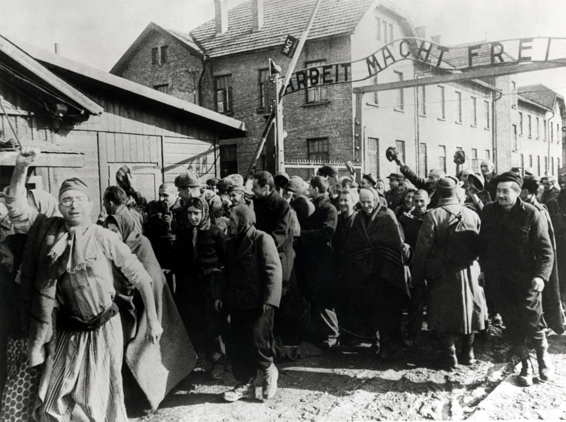 Liberation Of The Auschwitz Birkenau 1945 Picture